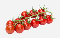 Cherry Tomaten