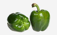 Grüne Paprika