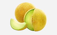 Galia Melone